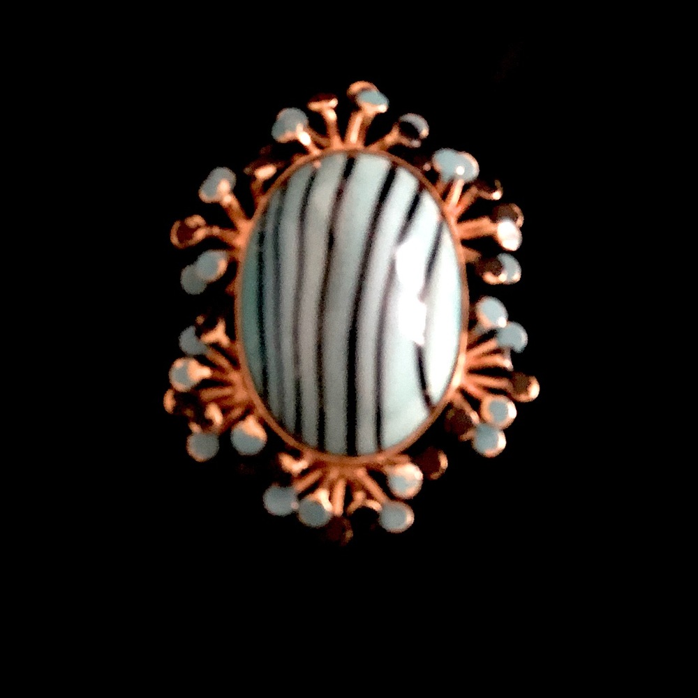 Vintage Made in Austria Enamelware brooch most likely from the 1950’s.